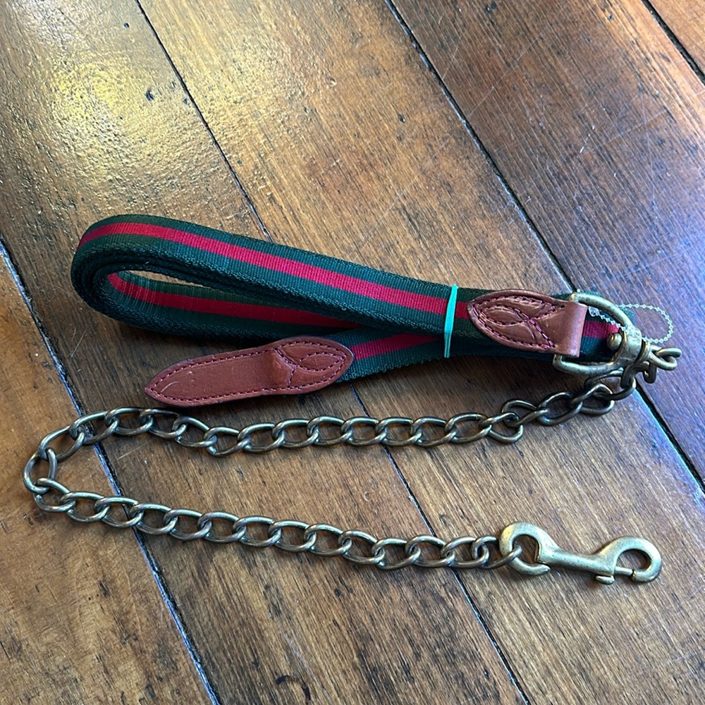 Beautiful Stylish Lead with chain